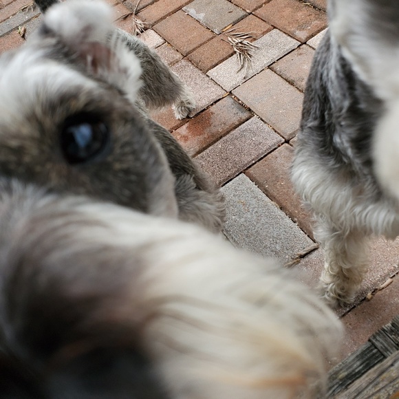 Meet your Posher, Agnieszka - Picture 4 of 8